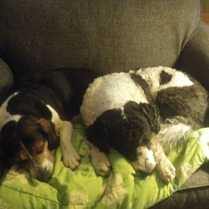 Meet your Posher, Lisa